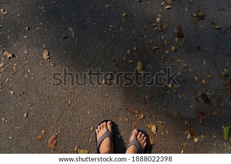 Similar – Image, Stock Photo Where are you going?