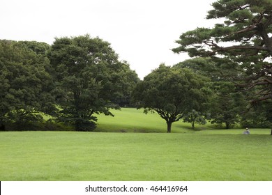 Peoples At Park 