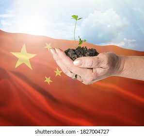 Peoples Republic Of China Growth And New Beginning. Green Renewable Energy And Ecology Concept. Hand Holding Young Plant.