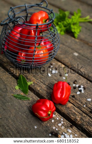 Habañero pepper