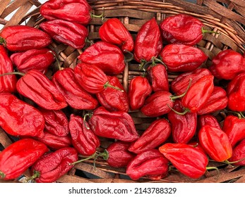 2,284 Caribbean red peppers Images, Stock Photos & Vectors | Shutterstock