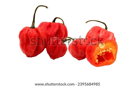 pepper path isolated on white
Round of Hungary sweet pepper, specialty pimento cheese is a ribbed, flattened pepper of intense red with very thick, sweet, delicious flesh. Whole paprika pepper 