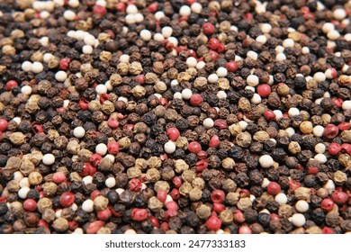 Peppercorn. Food Spices Mix Colorful Peppercorns. Mixed Pepper Dry Berries. Concept of Fresh Spices for Cooking Products. Rotation. Close Up, Macro. Full Frame Border. Pepper Pouring from Wooden Spoon - Powered by Shutterstock