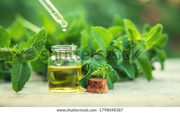 Peppermint essential oil in a small bottle.\
Selective focus.\
nature.