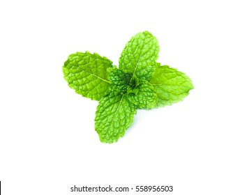 Peppermint Isolated