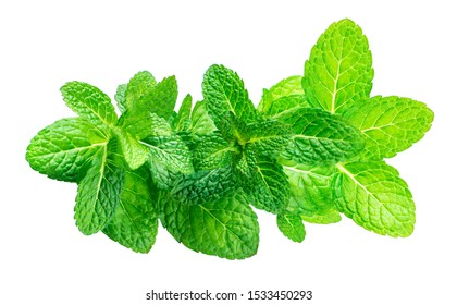 Peppermint Isolated. Fresh mint leaves ia a row on white background, top view. Close up 