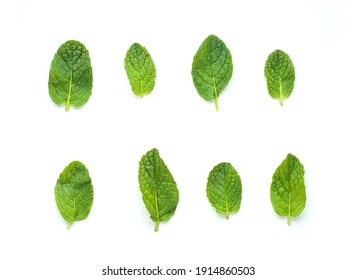 Peppermint Leaves Isolated On White Background, Top View