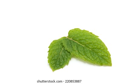 Peppermint Leaves On White Background