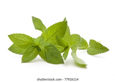 Peppermint leaves with tea bag