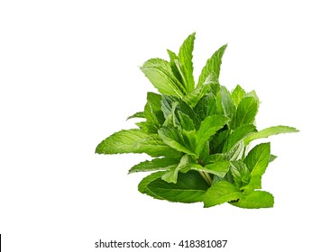 Peppermint On Isolated On White