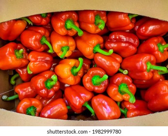 Peppers. Paprika. Paprika In Boxes On The Counter. Paprika On Market. Paprika In A Cardboard Box.