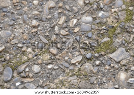 pepple dash on the path