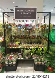 
Perak, Malaysia. April 21,2022: Varieties of fresh bromeliad plants and flowers is on display and sale at the Aeon Flowerholic stall supermarket,Sri Manjung.