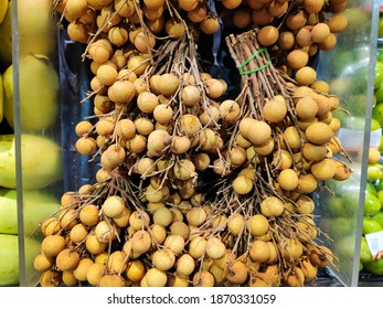 Mata Kucing Images, Stock Photos u0026 Vectors  Shutterstock