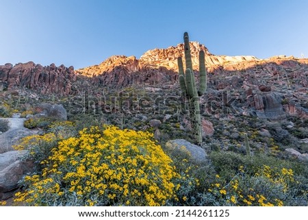 Peralta Canyon offers a great two mile hike to Fremont Saddle in the Superstition Mountains not far from Phoenix, Arizona. The Canyon itself is beautiful and is followed up by an incredible view.