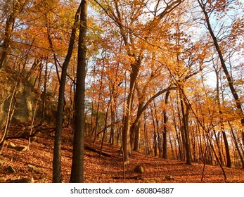 Pere Marquette State Park In Autumn, Grafton, IL