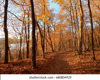 Pere Marquette State Park In Autumn, Grafton, IL