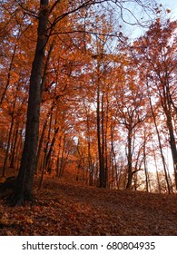 Pere Marquette State Park In Autumn, Grafton, IL