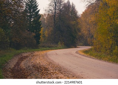 Perfect Autumn Country Road Through Forest, Yellow Dry Leaves On Road Side, Bending Dirt Road