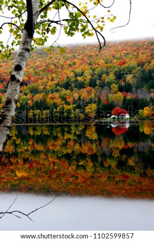 A perfect autumn scene by the rolling hills of Cape Breton, Nova Scotia