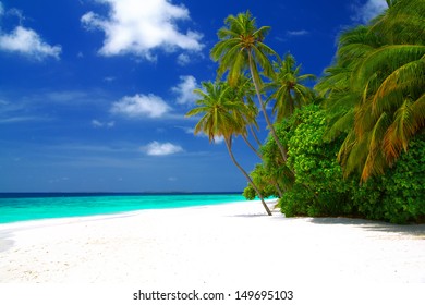 Palm Trees On Exotic Tropical Beach Stock Photo (edit Now) 790465132