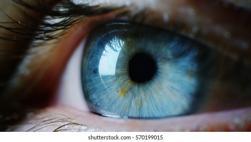 perfect blue eye macro in a sterile environment and perfect vision in resolution 6k,  concept, the vision of the future and healthy life concept. view precise and straight to the target. - Shutterstock ID 570199015