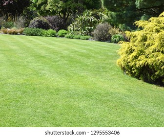 A perfect English country garden with manicured lawn and walled raised boarder surrounded by shrubs, small trees and some colourful flowers. - Shutterstock ID 1295553406