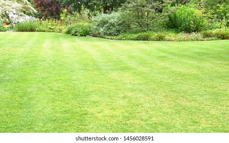 Fresh Gardening Green Bermuda Grass Smooth Stock Photo 1061362826 ...