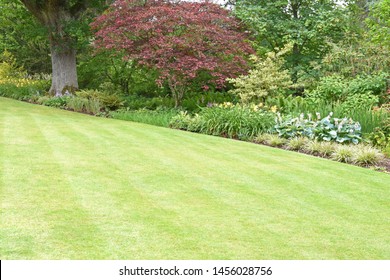A perfect English country garden with manicured lawn and a boarder surrounded by shrubs, small trees and some colourful flowers. - Shutterstock ID 1456028756