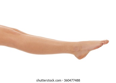 Perfect Female Legs Stock Photo 360477488 | Shutterstock