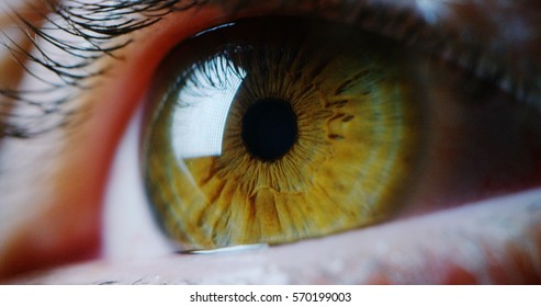 perfect green eye macro in a sterile environment and perfect vision in resolution 6k,  concept, the vision of the future and healthy life concept. view precise and straight to the target.