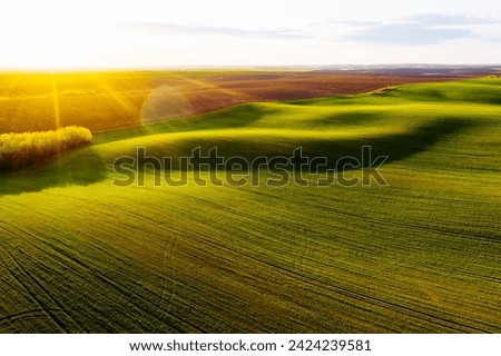 Perfect green fields and agricultural area at sunset. Bird's eye view. Aerial photography, top view drone shot. Ukrainian agrarian region, Europe. Agronomy industry. Photo wallpaper. Beauty of earth.