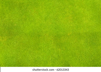 Perfect Green Grass Texture From Golf Field