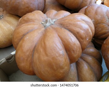 perfect Halloween decoration, beautiful Fairytale pumpkin squash 