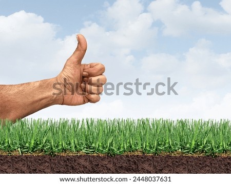 Perfect Lawn and healthy grass as lawncare symbol for controlling weeds and fertilizing and aerating turf as a landscaper giving approval for good gardening.
