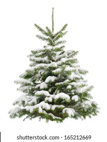 Snow Christmas Tree Images Stock Photos Vectors Shutterstock