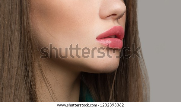 完璧な自然の唇のメイク 美しい女性の口を持つマクロ写真の接写 口元が丸い 面の詳細を接写します きれいな肌 軽い新鮮な唇のメイク 美しい温泉の優しい唇 の写真素材 今すぐ編集