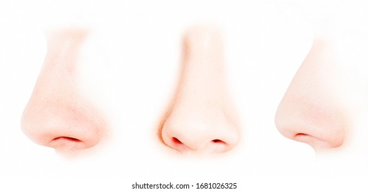 perfect nose shape 