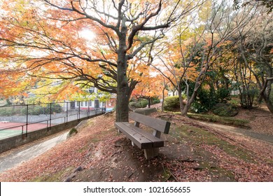 Perfect Park At Japan University (Tokai)