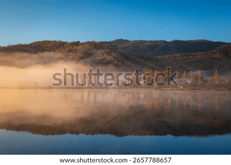 Perfect reflection of a layer of fog drifting through autumn trees lining a lake in Mount Beauty Australia.  Copy space. 