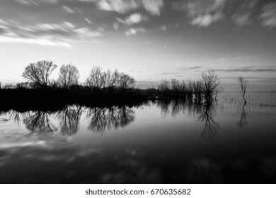 Perfect reflection of some trees on water, with moving clouds