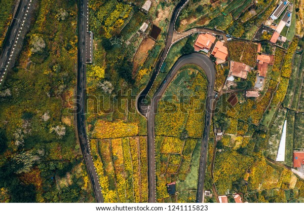 Perfect road with turns and curves. Aerial view\
from above.