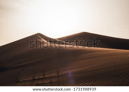 Perfect sanddunes in the Arabian desert