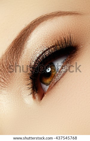 Perfect shape of eyebrows, brown eyeshadows and long eyelashes. Cosmetics and make-up. Modern fashion make up. Classic  brown smoky eye makeup