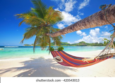 Perfect Tropical Paradise Beach Of Seychelles Island With Palm Trees And Hammock