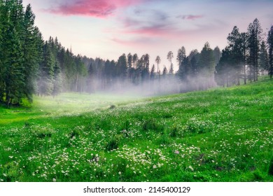 Perfect Valley With Green Grass And Low Mist In Morning Evening