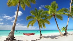 Perfect White Sand Beach With Turquoise Water, Palms And Colorful Hammock