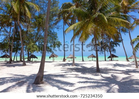 Perfect white sandy beach with palm trees, Paje, Zanzibar, Tanzania