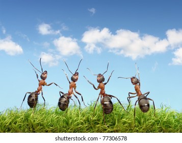 perfect work team concept, ants under summer blue sky