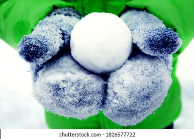 perfectly flat snowball in hands. Person Holding Snowball. Close-Up Of Cropped Hands Holding Snowball.